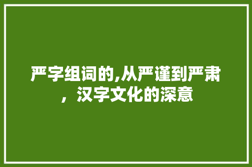 严字组词的,从严谨到严肃，汉字文化的深意