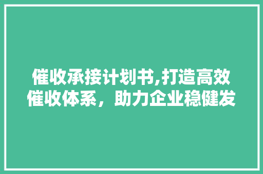 催收承接计划书,打造高效催收体系，助力企业稳健发展