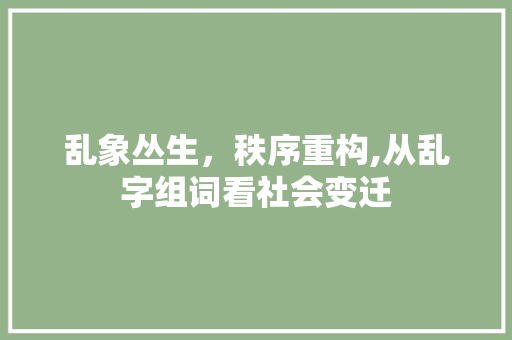 乱象丛生，秩序重构,从乱字组词看社会变迁