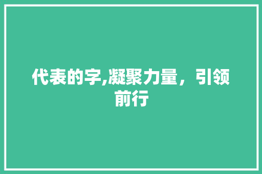 代表的字,凝聚力量，引领前行