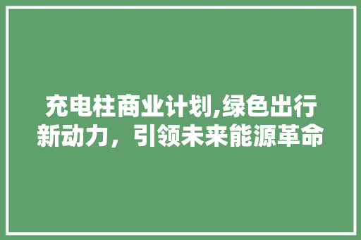 充电柱商业计划,绿色出行新动力，引领未来能源革命