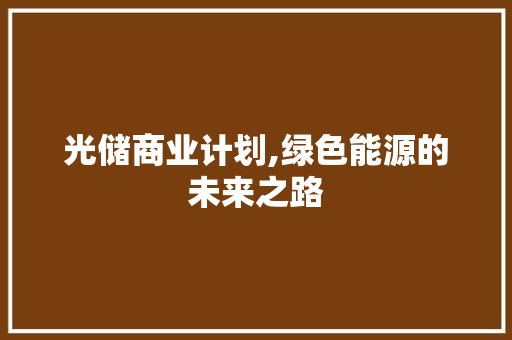 光储商业计划,绿色能源的未来之路