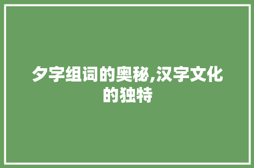 夕字组词的奥秘,汉字文化的独特
