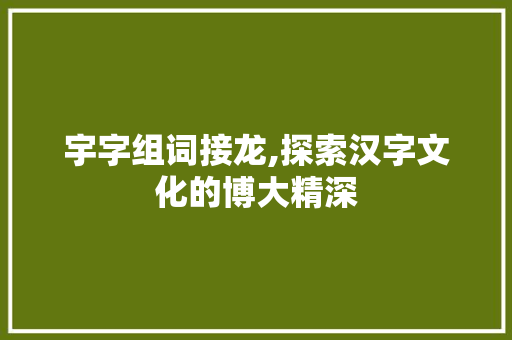 宇字组词接龙,探索汉字文化的博大精深