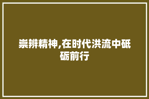 崇辨精神,在时代洪流中砥砺前行