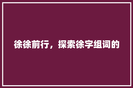 徐徐前行，探索徐字组词的