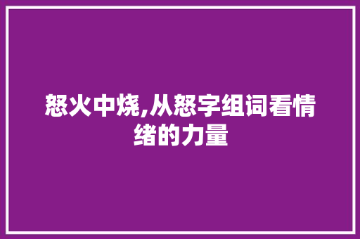 怒火中烧,从怒字组词看情绪的力量