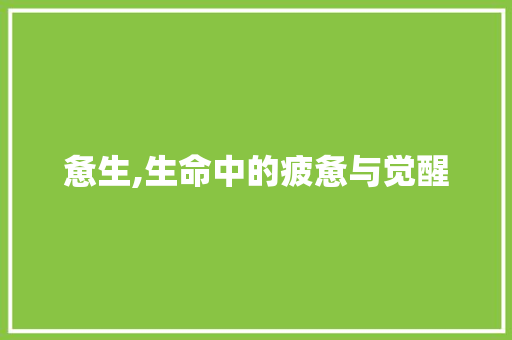 惫生,生命中的疲惫与觉醒