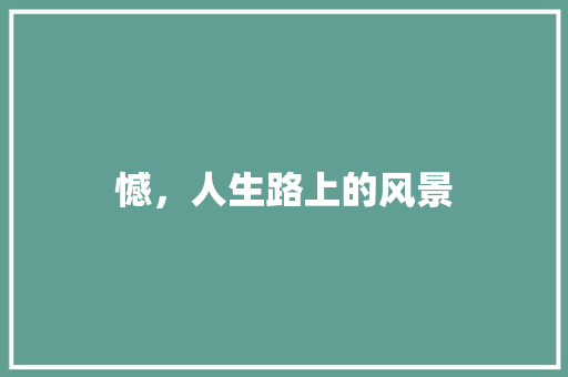 憾，人生路上的风景
