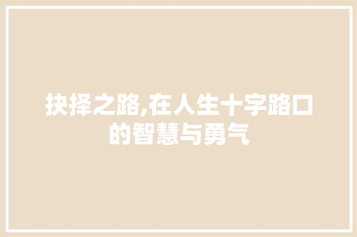 抉择之路,在人生十字路口的智慧与勇气