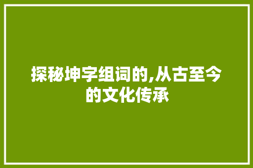 探秘坤字组词的,从古至今的文化传承
