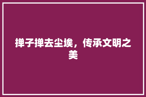 掸子掸去尘埃，传承文明之美