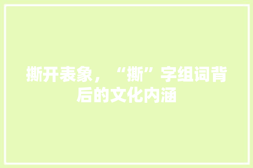 撕开表象，“撕”字组词背后的文化内涵