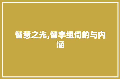智慧之光,智字组词的与内涵