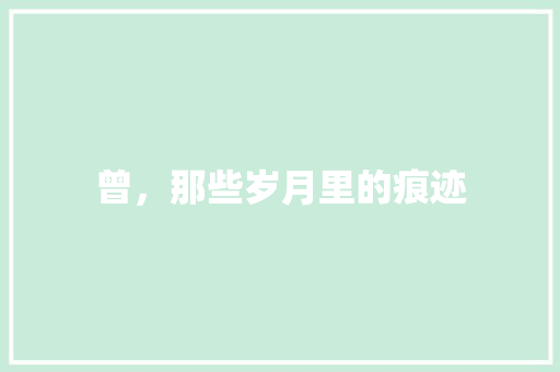 曾，那些岁月里的痕迹