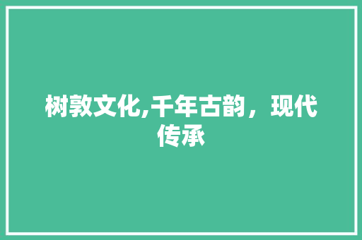 树敦文化,千年古韵，现代传承