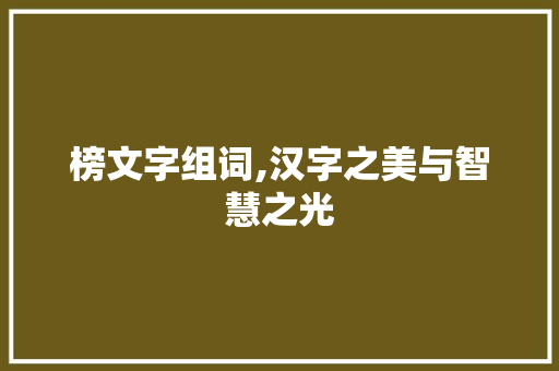 榜文字组词,汉字之美与智慧之光