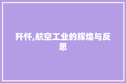 歼忏,航空工业的辉煌与反思