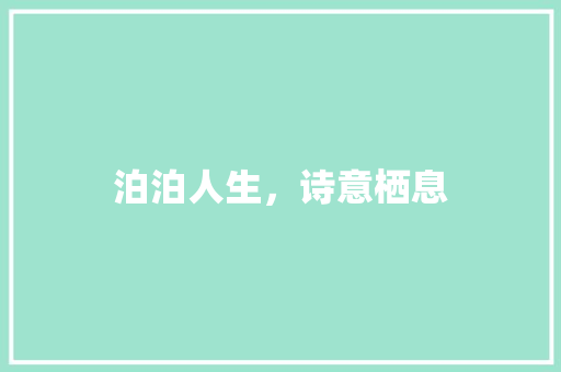 泊泊人生，诗意栖息