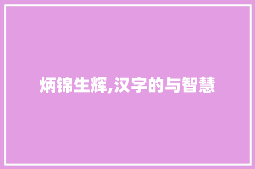 炳锦生辉,汉字的与智慧