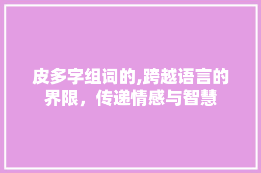 皮多字组词的,跨越语言的界限，传递情感与智慧