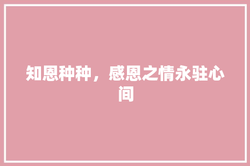 知恩种种，感恩之情永驻心间