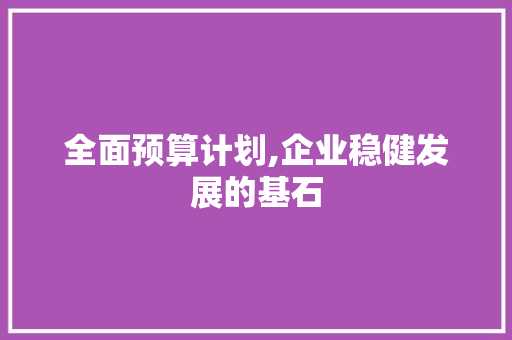 全面预算计划,企业稳健发展的基石