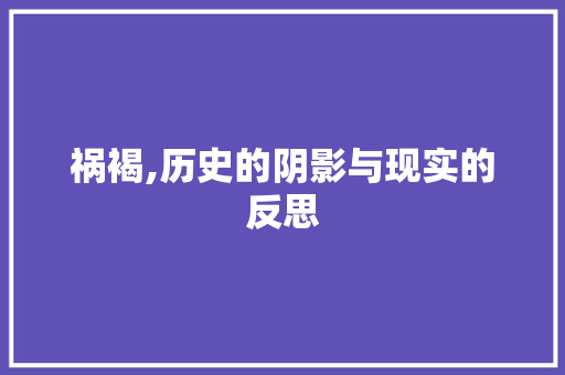 祸褐,历史的阴影与现实的反思