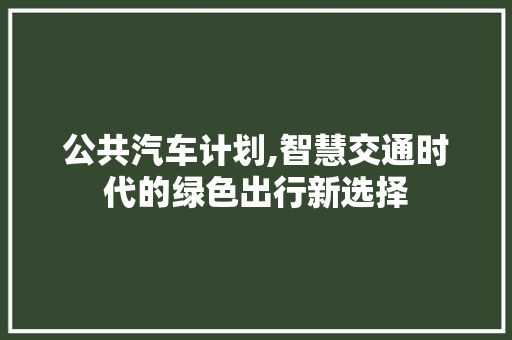 公共汽车计划,智慧交通时代的绿色出行新选择