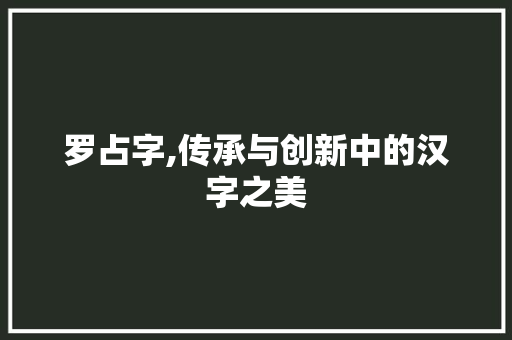罗占字,传承与创新中的汉字之美