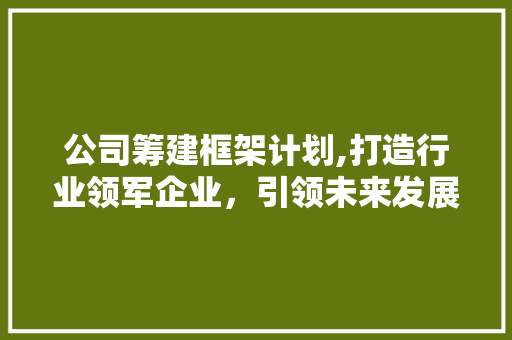 公司筹建框架计划,打造行业领军企业，引领未来发展