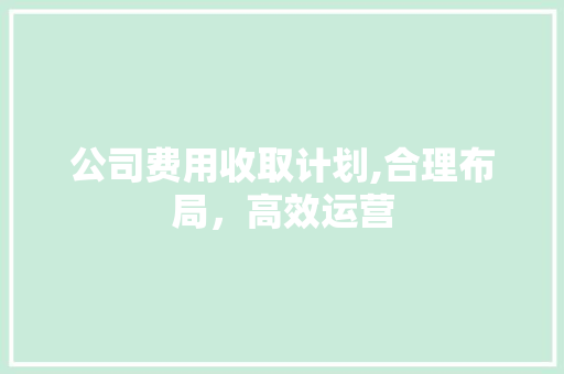 公司费用收取计划,合理布局，高效运营