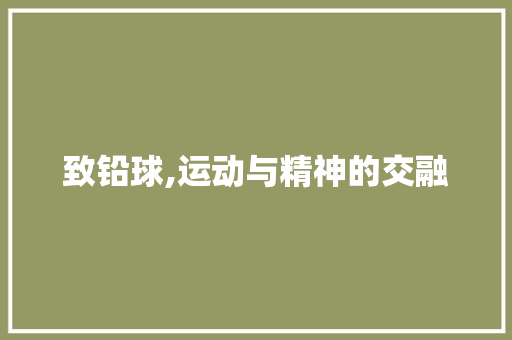 致铅球,运动与精神的交融