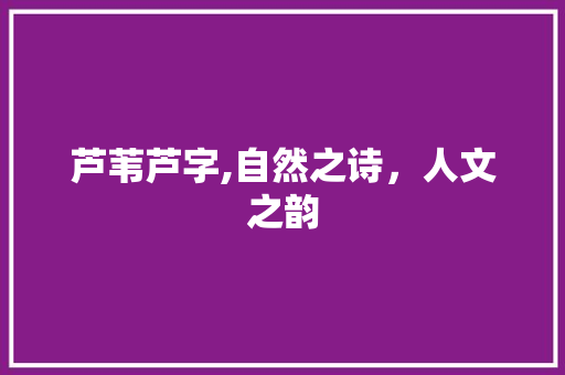 芦苇芦字,自然之诗，人文之韵
