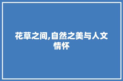 花草之间,自然之美与人文情怀