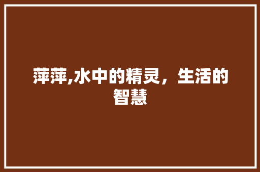 萍萍,水中的精灵，生活的智慧