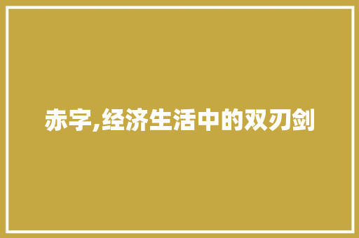 赤字,经济生活中的双刃剑