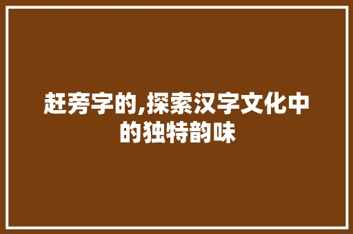 赶旁字的,探索汉字文化中的独特韵味