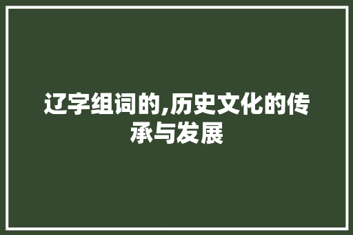 辽字组词的,历史文化的传承与发展 反义词汇