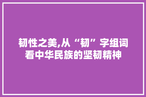 韧性之美,从“韧”字组词看中华民族的坚韧精神