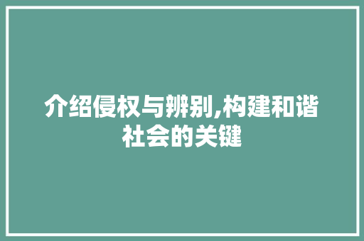 介绍侵权与辨别,构建和谐社会的关键