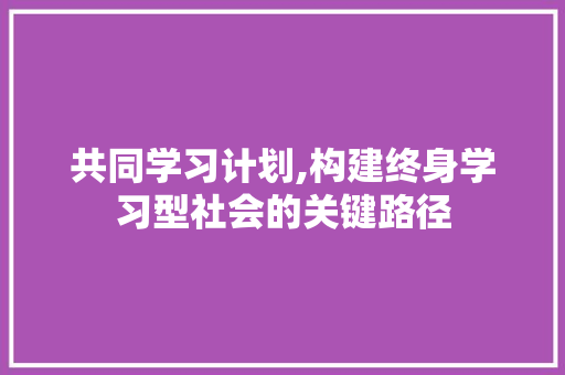共同学习计划,构建终身学习型社会的关键路径 成语汇编