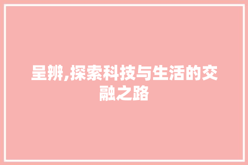 呈辨,探索科技与生活的交融之路
