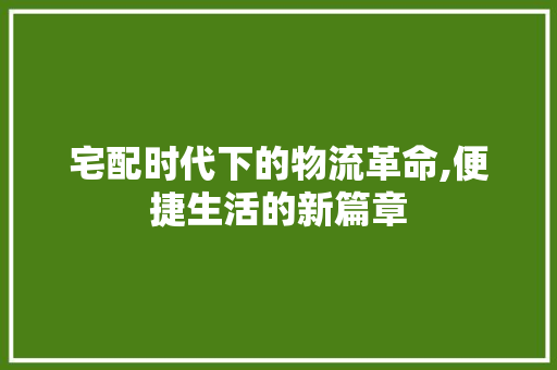 宅配时代下的物流革命,便捷生活的新篇章 英语单词