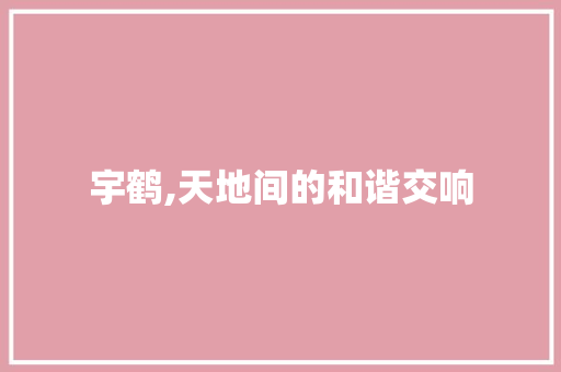 宇鹤,天地间的和谐交响