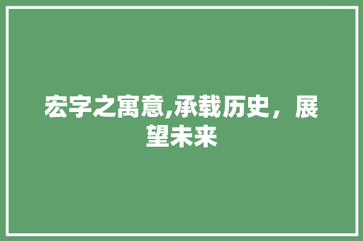 宏字之寓意,承载历史，展望未来