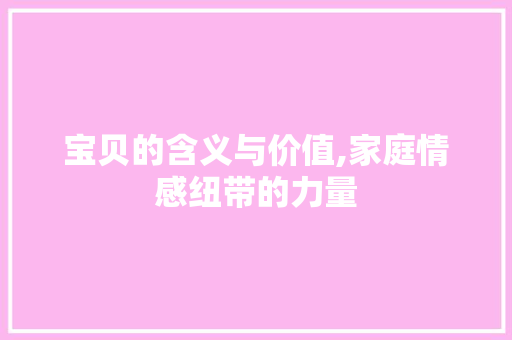 宝贝的含义与价值,家庭情感纽带的力量