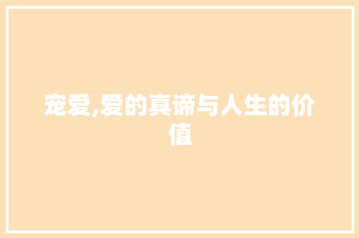 宠爱,爱的真谛与人生的价值