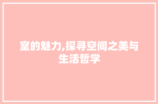 室的魅力,探寻空间之美与生活哲学