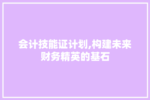 会计技能证计划,构建未来财务精英的基石
